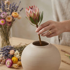 Minimalist Round Ceramic Vase