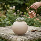 Minimalist Round Ceramic Vase